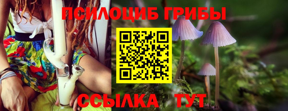 Галлюциногенные грибы GOLDEN TEACHER  Галлюциногенные грибы MAGIC MUSHROOMS  Вход с VPN  Пятигорск 