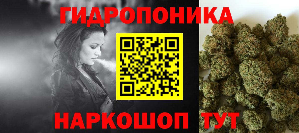 Пятигорск  Канабис конопля  Вход с VPN  Каннабис план 
